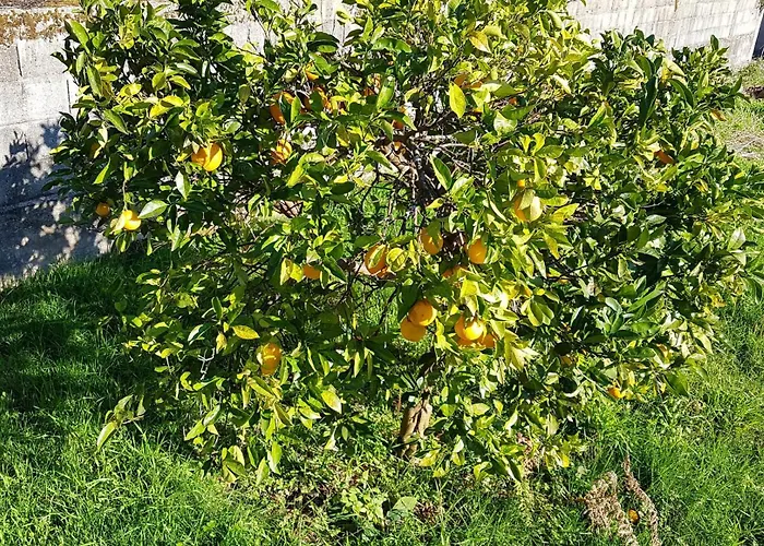 Lugar De Levides Villa *